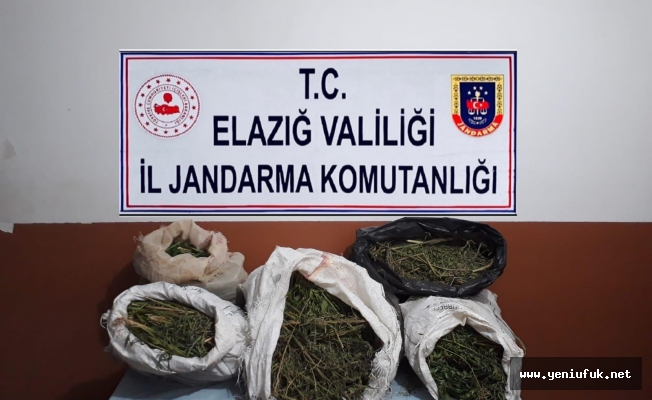 Jandarma Zehir Tacirlerine Nefes Aldırmıyor