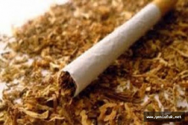 Sarma tütün satışı yasak mı?