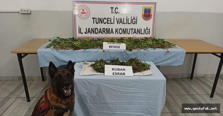 Tunceli'de Uyuşturucu Operasyonu