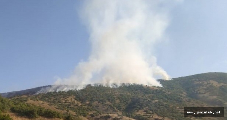 Palu'da Orman Yangını