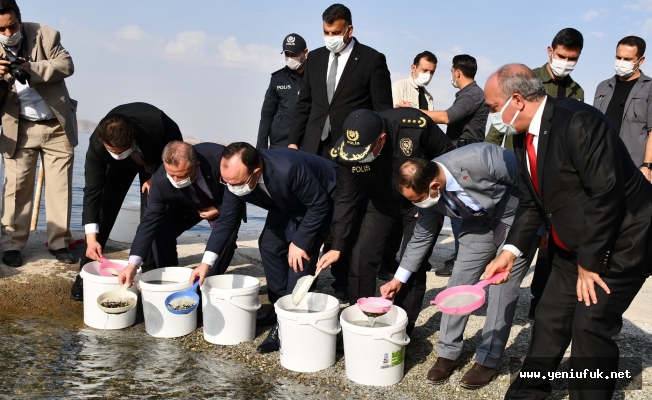 Cumhuriyetin 97. Yılı Anısına Keban Barajına 970.000 Adet Balık Yavrusu Bırakıldı
