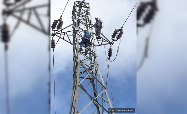 Fırat Elektrik Dağıtım A.Ş., Enerji Çalışanları Haftası’nı Çalışanlarıyla Kutladı