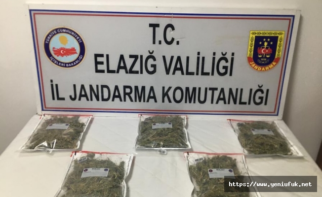 Kamyonetli Uyuşturucu tacirlerine Jandarma “DUR “ dedi