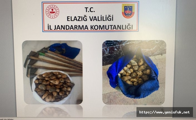 Jandarma Yasaklı salep soğanı toplayan 5 kişiyi yakaladı