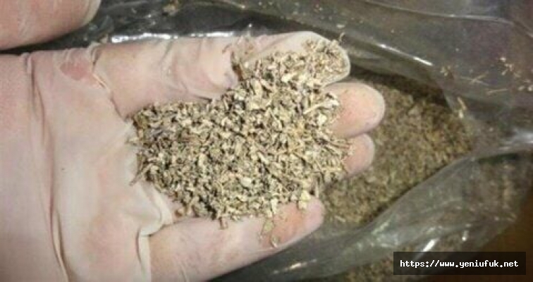 Elazığ'da Jandarmadan Uyuşturucu Operasyonu: 23 Gram Skunk ele Geçirildi
