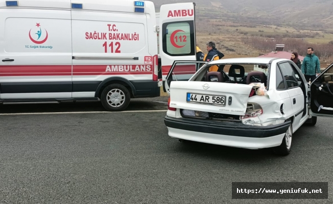 Elazığ-Bingöl karayolunda Trafik Kazası