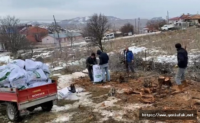 Köylüler, Görenlerin İçini Isıttı