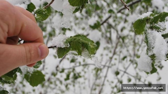 Meteorolojinin Zirai Don Uyarıları Sürüyor