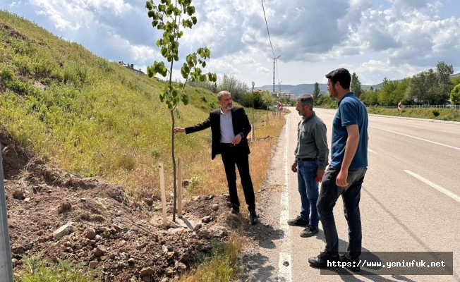 Karakoçan Ihlamur Kokacak!