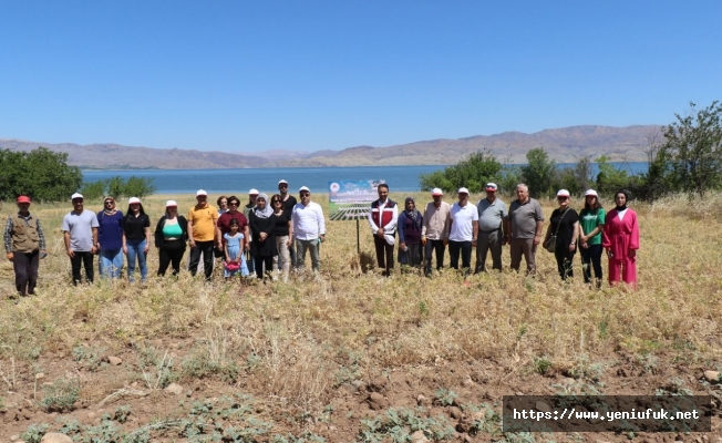 Kadın Çiftçiler Nohut Hasadına Başladı