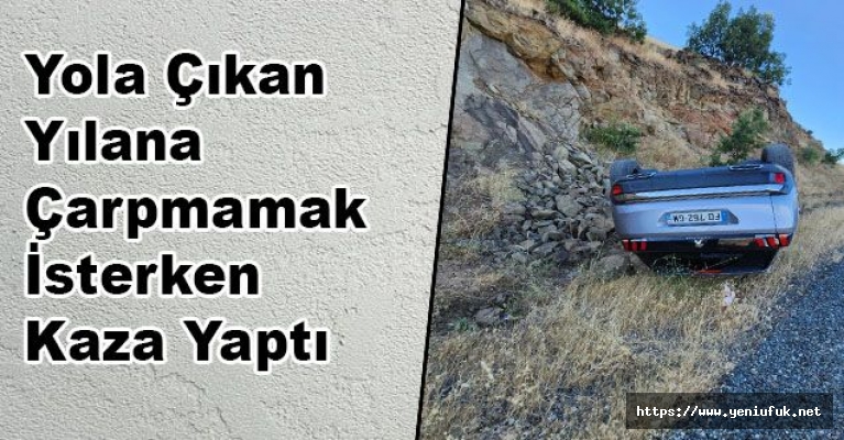 Yola Çıkan Yılana Çarpmamak İsterken Kaza Yaptı