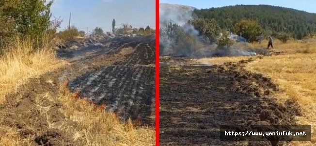 Tarla Yangını Ekinlere Zarar Verdi