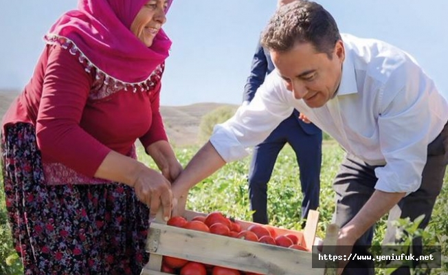 “Tutarsız ve zayıf bir programla güven tesis edilemez”