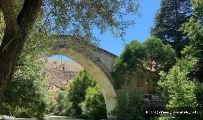 Çemişgezek’te Tagar Vadisi İçin Kritik Dava: Habitatımıza Dokunmayın