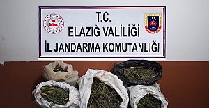 Jandarma Zehir Tacirlerine Nefes Aldırmıyor