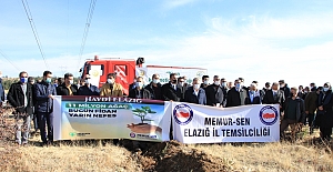 Memur Sen, 7500 Fidanı Toprakla Buluşturdu