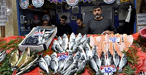 Balık Fiyatları Hava Durumuna Göre Değişiyor