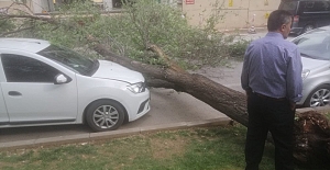 ELAZIĞ’DA ŞİDDETLİ RÜZGAR KORKUTU