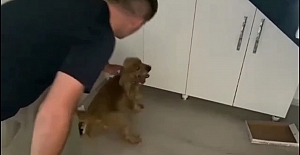 NARKOTİK KÖPEĞİ ‘ALEX’ AYAKKABI İÇERİSİNE ZULALANMIŞ 84.05 GRAM METAMFETAMİN MADDESİ BULDU
