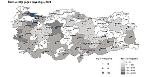 Türkiye'nin Göç Haritası İlk Kez Yayınlandı!