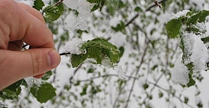 Meteorolojinin Zirai Don Uyarıları Sürüyor