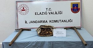 Kaçak Salep Avcısı Jandarmadan Kaçamadı