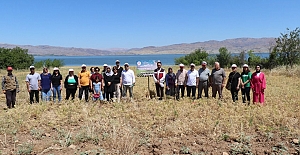 Kadın Çiftçiler Nohut Hasadına Başladı