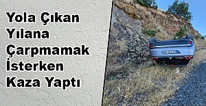 Yola Çıkan Yılana Çarpmamak İsterken Kaza Yaptı