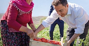 “Tutarsız ve zayıf bir programla güven tesis edilemez”